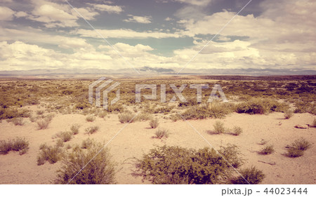 Desert landscape in Bolivia Desert landscape in Bolivia 44023444