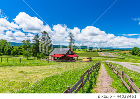 《北海道》美瑛・田園風景 《北海道》美瑛・田園風景 44023461