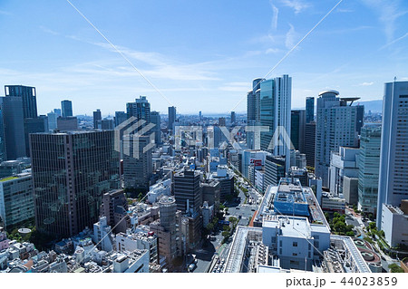 大阪 44023859