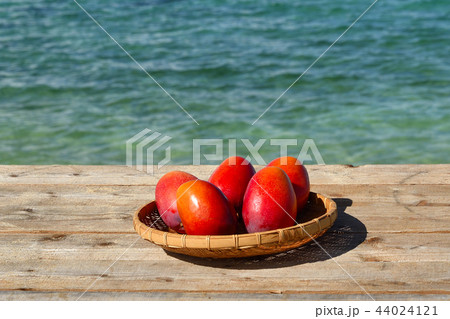 完熟マンゴー　イメージ　背景　海 44024121