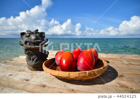 完熟マンゴー　イメージ　背景　海　シーサー 44024125