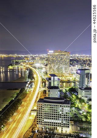 福岡タワーから見る福岡市の素晴らしい夜景 福岡タワーから見る福岡市の素晴らしい夜景 44025566