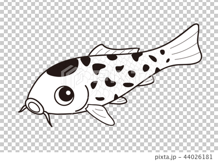 黑白龜殼 44026181