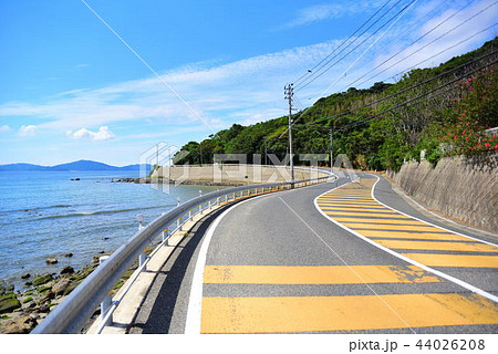 志賀島の道路 44026208