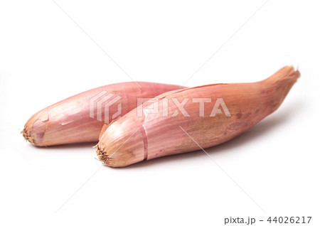 long Shallots on white background 44026217