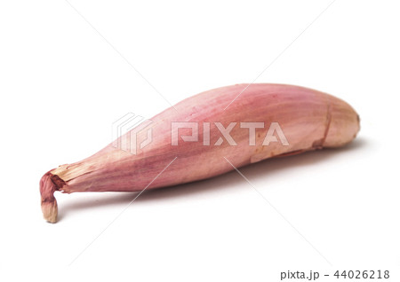 closeup of long Shallot on white background 44026218
