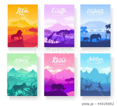 Brochures with African animals in natural habitat. Set of flyers with wildlife in the sunset of the Brochures with African animals in natural habitat. Set of flyers with wildlife in the sunset of the 44026802