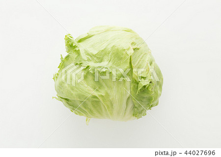 きゃべつ 白背景 きゃべつ 白背景 44027696