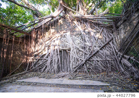 アジア人 アジアン アジア風 44027796