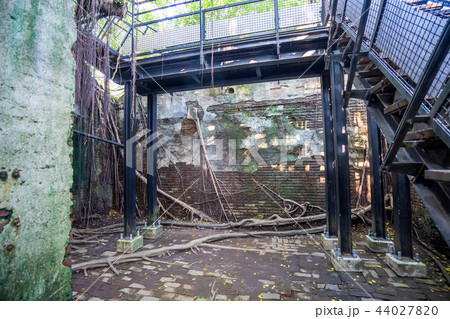 アジア人 アジアン アジア風 44027820