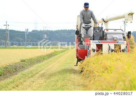 稲刈り コンバインを運転する男性の写真素材