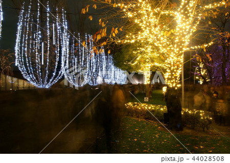 クリスマスイルミネーション 東京 クリスマスイルミネーション 東京 44028508