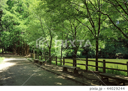 大阪市立長居植物園 44029244