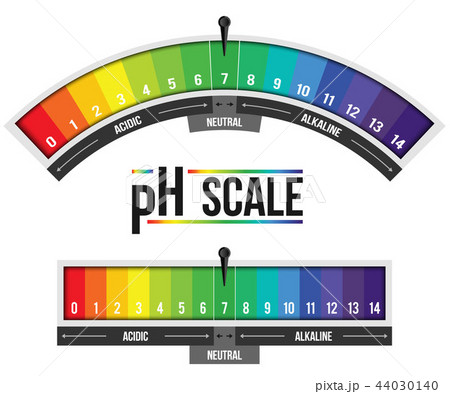 Creative vector illustration of pH scale value isolated on background. Chemical art design 44030140