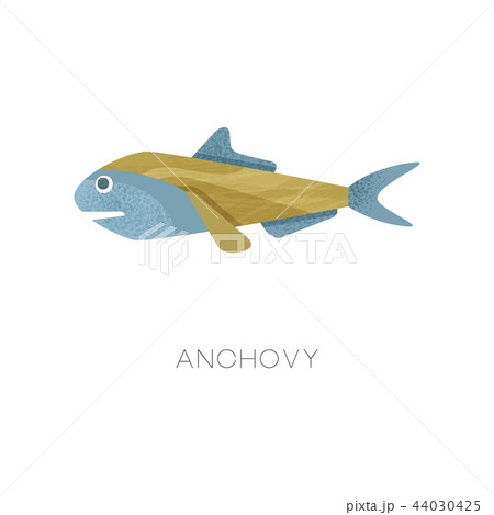 anchovie clipart