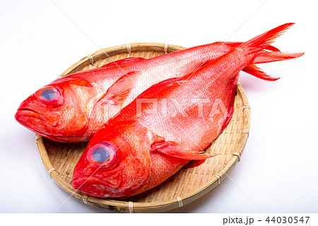 金目鯛　食材 44030547