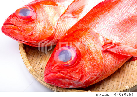 金目鯛　食材 44030564