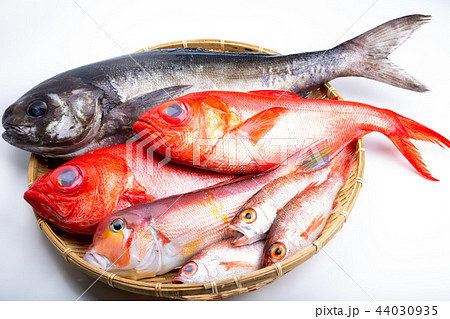 魚の盛り合せ 魚の盛り合せ 44030935