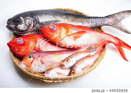 魚の盛り合せ 44030936