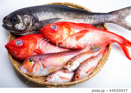魚の盛り合せ 44030937