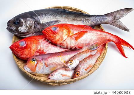 魚の盛り合せ 魚の盛り合せ 44030938