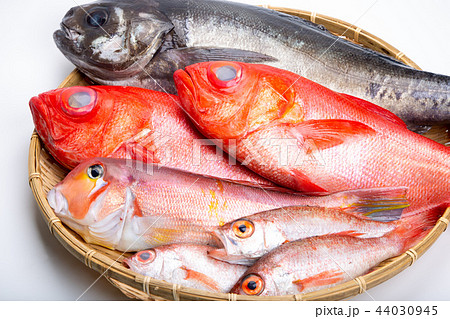 魚の盛り合せ 魚の盛り合せ 44030945
