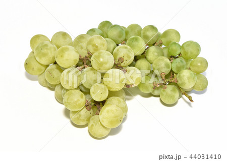 ぶどう（ナイアガラ） 44031410