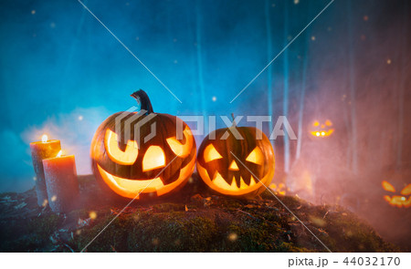 Spooky halloween pumpkins in forest 44032170