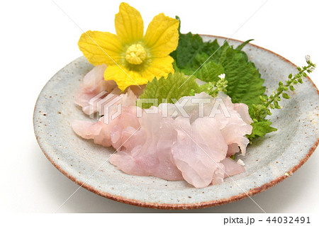 白身の刺身 薄造りのキジハタの写真素材 白身の刺身 薄造りのキジハタの写真素材