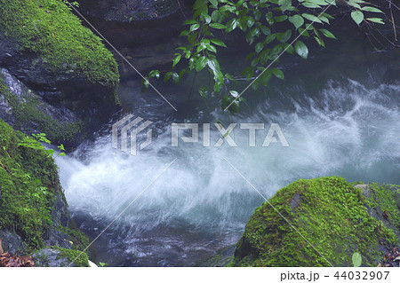夏の渓流 夏の渓流 44032907