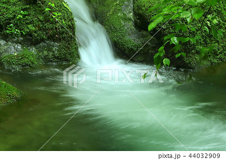 夏の渓流 44032909