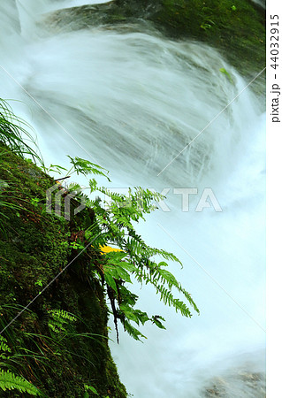 夏の渓流 44032915