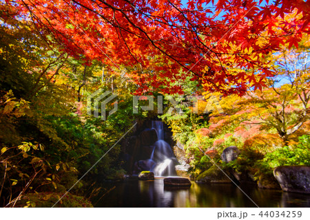 栃木県鹿沼市　古峰園　古峰神社 44034259