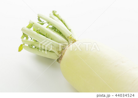 大根　白バック 44034524