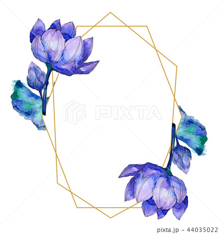Wildflower watercolor colorful lotus flower. Floral botanical flower. Frame border ornament square. 44035022
