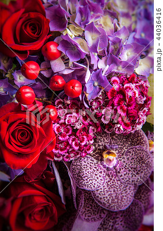 カーネーション ハマナデシコ 薔薇 44036416