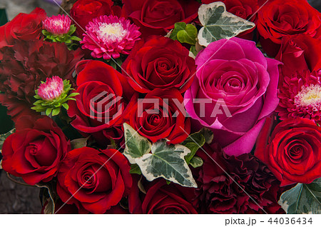 薔薇 バラ科 バラ 44036434