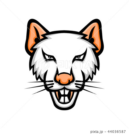 Albino Laboratory Mouse Mascot 44036587