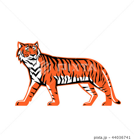 Bengal Tiger Full Body Mascot 44036741