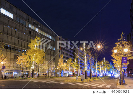 大阪・御堂筋・クリスマスイルミネーション 44036921