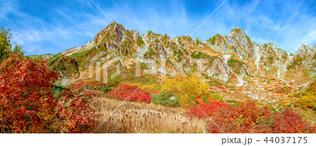 千畳敷カール 10月 紅葉 の写真素材 千畳敷カール 10月 紅葉 の写真素材
