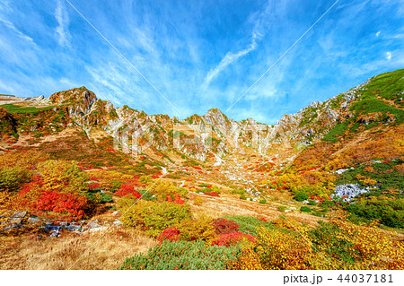 千畳敷カール 10月 紅葉 の写真素材
