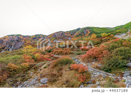 千畳敷カール  (10月  紅葉) 44037189