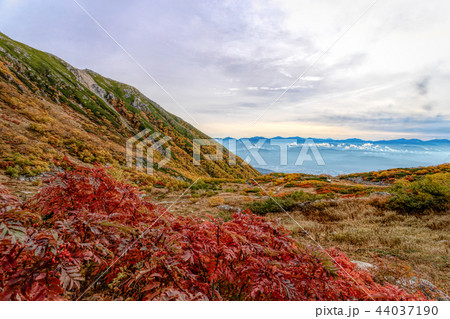 千畳敷カール (10月 紅葉) 千畳敷カール (10月 紅葉) 44037190