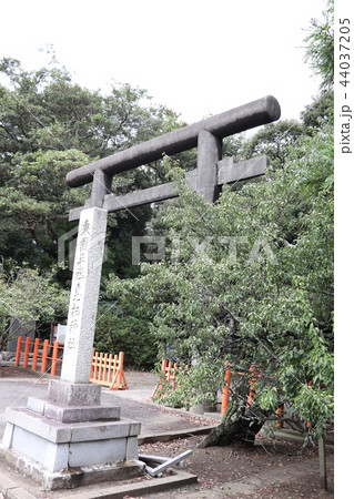 息栖神社の鳥居 息栖神社の鳥居 44037205
