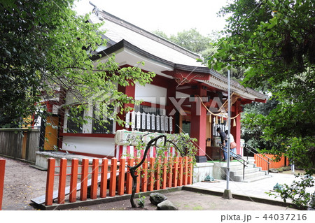 息栖神社(拝殿) 息栖神社(拝殿) 44037216