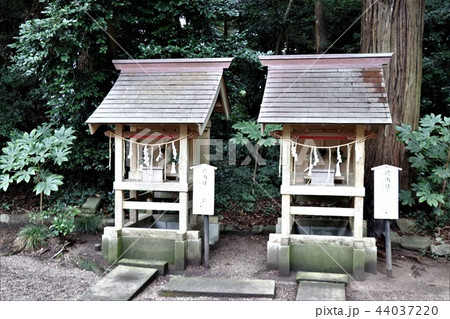 息栖神社(摂末社) 息栖神社(摂末社) 44037220
