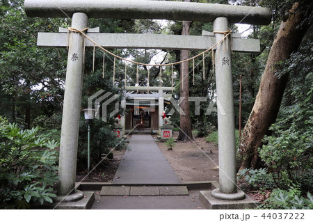 息栖神社(摂社・稲荷神社) 息栖神社(摂社・稲荷神社) 44037222