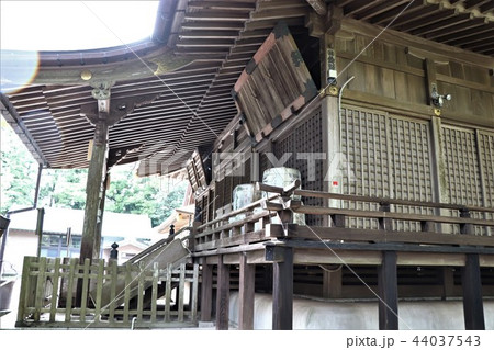 神崎神社(拝殿) 神崎神社(拝殿) 44037543