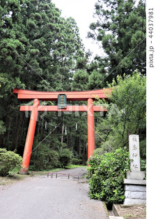 名草厳島神社 名草厳島神社 44037981
